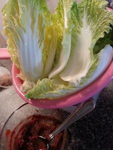 nappa-cabbage.